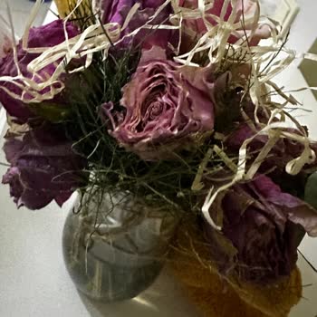 Gönderdiğim Çiçek Kurumuş Ve Çürük Geldi, Müşteri Hizmeti İlgisiz