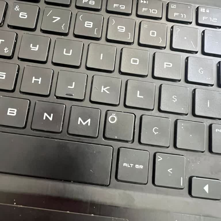 Elektrofoni Bilgisayar Onarımında Eksik Ve Hatalı Hizmet Deneyimi