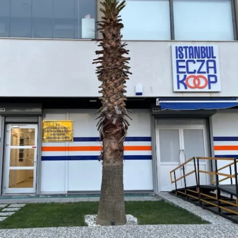 Şube Kapanışı Sonrası Haklarımızın Verilmemesi Ve İş Yeri Değişikliği Mağduriyeti