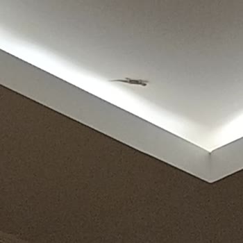 Vav Hotel Kuşadası Rezervasyon İptali, Hijyen Sorunları Ve İade Mağduriyeti Yaşadım