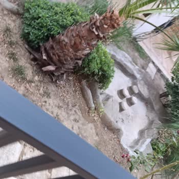 Vav Hotel Kuşadası Rezervasyon İptali, Hijyen Sorunları Ve İade Mağduriyeti Yaşadım