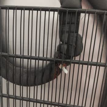 Beko 7070 MB Derin Dondurucuda Kronik Rezistans Arızası