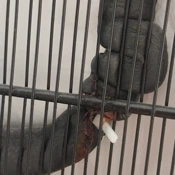 Beko 7070 MB Derin Dondurucuda Kronik Rezistans Arızası