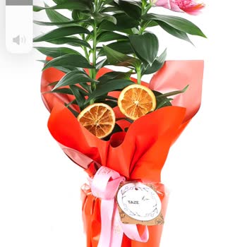 Siparişimle Gönderilen Ürün Arasında Büyük Fark Var, İptal De Edilmiyor!