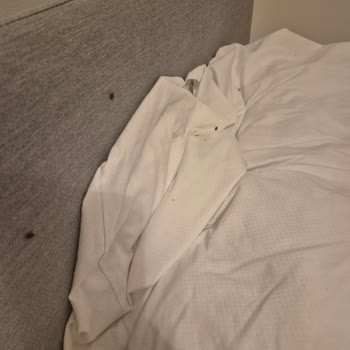 Berlin’de Tahta Kurusu Kabusu Ve Booking.com’un Yetersiz Desteği