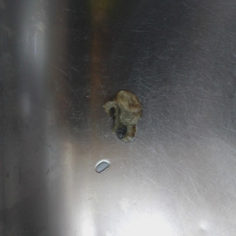 Dimes Meyve Suyunda Büyük Yabancı Madde Şoku