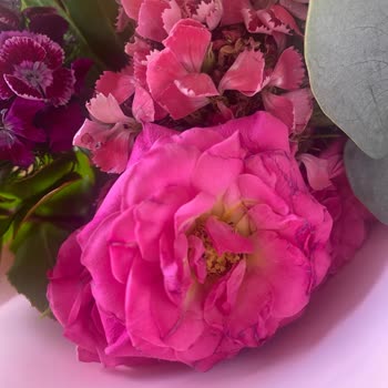 Hediye Gelen Çiçekler Solmuş Ve Özensiz Gönderildi, Muhatap Bulamıyorum