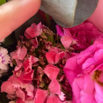 Hediye Gelen Çiçekler Solmuş Ve Özensiz Gönderildi, Muhatap Bulamıyorum