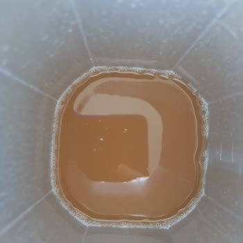 Aldığım Meyve Suyunda Kısa Sürede Ekşime Ve Küf Oluştu