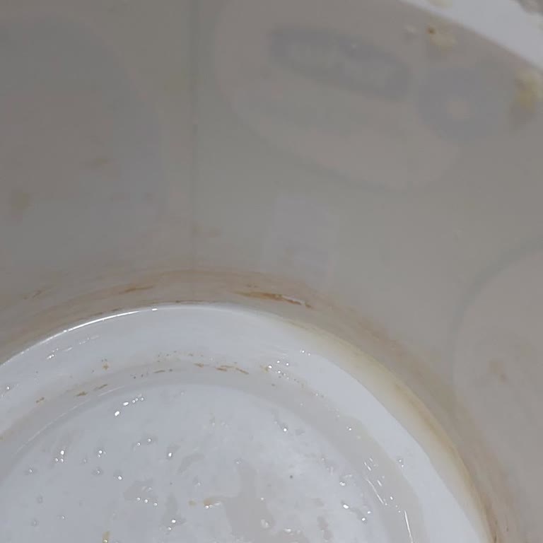 Torku Yoğurt Kovasında Hijyen Sorunu Ve Kirli Ambalaj Şoku Yaşadım