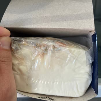 File Market Ezine Peyniri Küflü Çıktı, Hayal Kırıklığına Uğradım