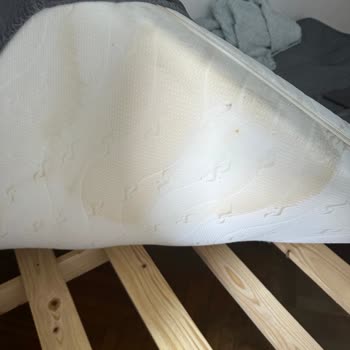 I Found Urine and Blood on the Bed in My Kraków Room Booked via Booking.com