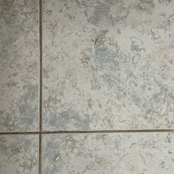 Etstur İle Rezervasyonumda Yaşadığım Oda Temizliği Ve Hizmet Sorunu