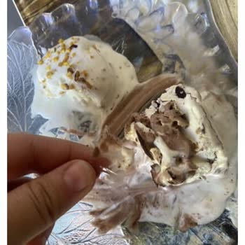 Dondurmadan Çıkan Plastik Ambalaj Şoku Ve Yanıtsız Kalan Şikayet