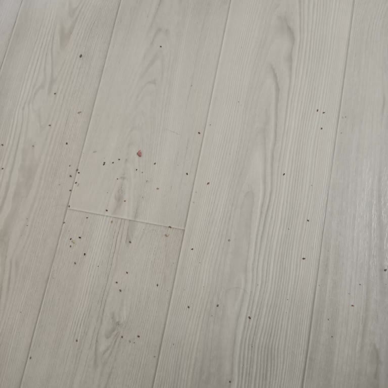 Şarjlı Süpürge Hem Temizlemiyor Hem Kirletiyor!