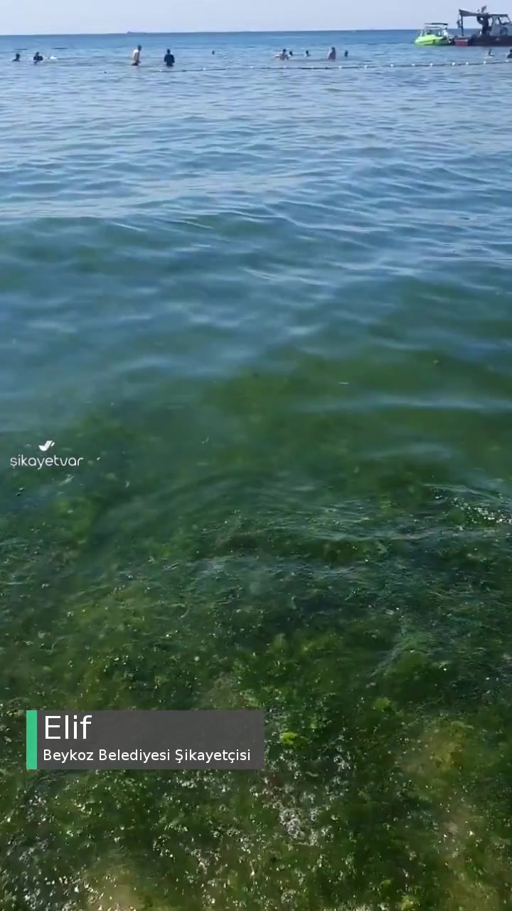 Beykoz Belediyesi Riva Plajının Hali videonun kapak resmi