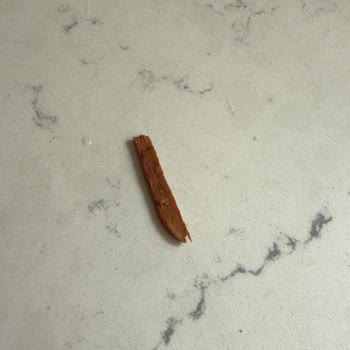 Dondurmadan Çıkan Sert Cisim Nedeniyle Yaşanan Sağlık Riski Endişesi