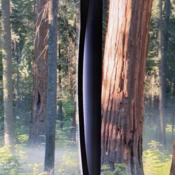 Samsung Monitörüm Garanti Kapsamı Dışında Bırakıldı, Mağduriyet Yaşıyorum