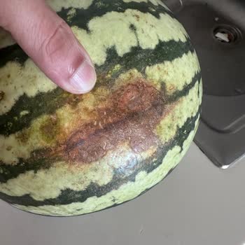 Getir'den Sürekli Çürük Sebze Ve Meyve Teslimatı Mağduriyeti