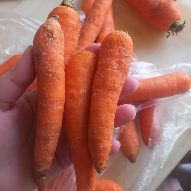 Sok Markette Sürekli Çürük Ve Eksik Ürün Sorunu Çözülmüyor Destek Yetersiz