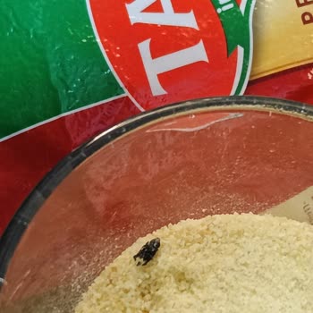 Ambalajlı İrmikten Sinek Çıkması Hayal Kırıklığı Yarattı