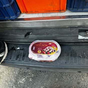 Dondurma Siparişim Eriyik Ve Hasarlı Teslim Edildi, Destek Alamadım