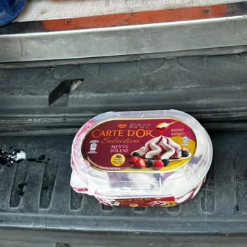 Dondurma Siparişim Eriyik Ve Hasarlı Teslim Edildi, Destek Alamadım