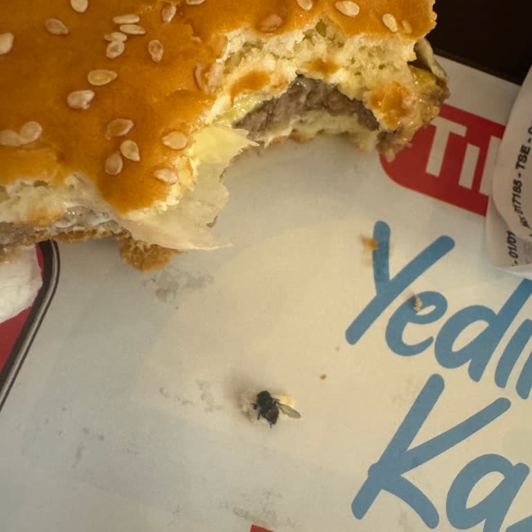Hamburgerin İçinden Sinek Çıktı, Şube Yetkilileri İlgisiz Kaldı