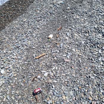 Boyran Altı Sahilinde Çöp Kovası Eksikliği Ve Temizlik Sorunu