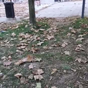 Eyüpsultan Belediyesi Rami Bir Nefes Parkı