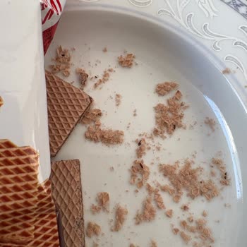Migros'tan Alınan Gofretin İçinden Böcek Çıkması Sonucu Yaşanan Sağlık Sorunu
