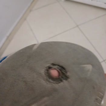 1 Ayda Aynı Yerden Delinen Lumberjack Ayakkabılar Hayal Kırıklığı