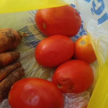 Şok Marketten Gelen Çürük Sebzeler Ve Eksik Ürün Sorunu