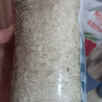 Böcekli Pirinçler Ve 200 TL Puan Kaybı Nedeniyle Mağduriyet Yaşadım