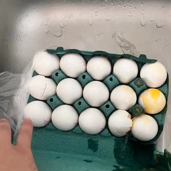 Migros Hemen'den Aldığım Yumurtalar Sürekli Kırık Geliyor Ve Çözüm Sunulmuyor