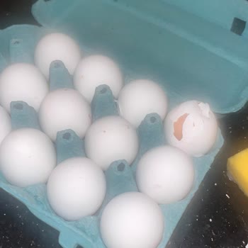 Migros Hemen'den Aldığım Yumurtalar Sürekli Kırık Geliyor Ve Çözüm Sunulmuyor