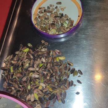 Aldığım Fıstıkta Taş, Odun Ve Böcek Çıktı, İade Talebime Ulaşamıyorum