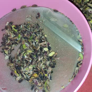 Aldığım Fıstıkta Taş, Odun Ve Böcek Çıktı, İade Talebime Ulaşamıyorum