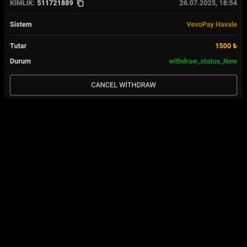 Yatırım Sonrası Çekim Talebim Karşılanmadı Destek Ekibine Ulaşamıyorum