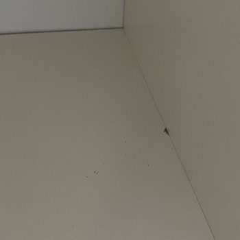 Sipariş Gecikmesi Ve Eksik Ürün Teslimatı Sonrası İletişim Sorunu