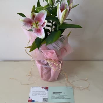 Gönderilen Çiçek Ve Not Beklentileri Karşılamadı