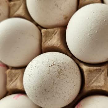 A101'den Aldığım Küflü Yumurtalar Ve Mağaza Sorumlusunun İade Konusundaki Olumsuz Tutumu