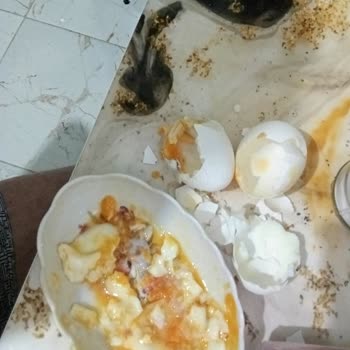 Sürekli Bayat Yumurta Satılması Nedeniyle Şikayetçiyim