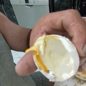 Sürekli Bayat Yumurta Satılması Nedeniyle Şikayetçiyim