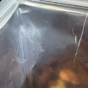 Aldığım Çiğ Fındıktan Kurt Çıktı, Kullanamadım!