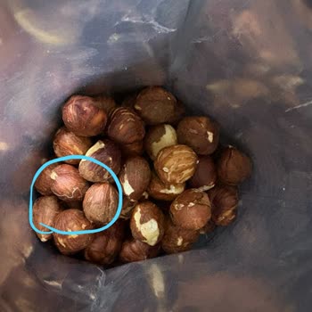 Aldığım Çiğ Fındıktan Kurt Çıktı, Kullanamadım!