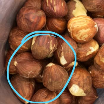 Aldığım Çiğ Fındıktan Kurt Çıktı, Kullanamadım!