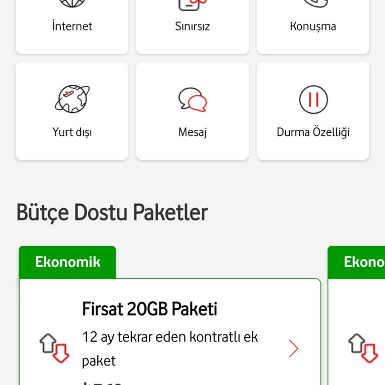 FreeZone Ücretsiz İnternet Paketlerine Erişemiyorum