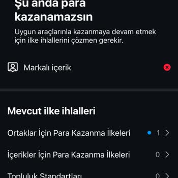 Instagram Hesabımda Para Kazanamıyorum Ve Değerlendirme Talep Edemiyorum