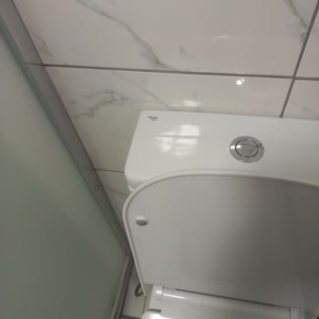 Kanalsız Klozet Hijyen Sorunu Hayal Kırıklığı Yarattı